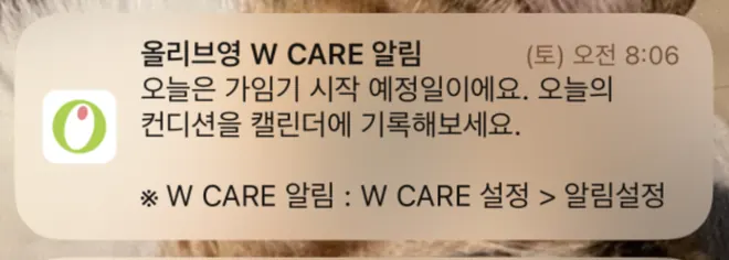[올리브영] W케어