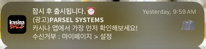 [카시나]