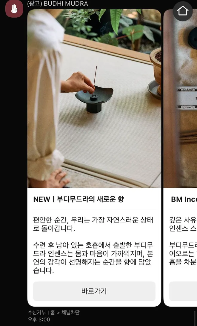 [부디무드라]